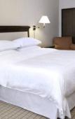Туры в отель Sheraton Stonebriar Hotel Туры в отель Sheraton Stonebriar Hotel