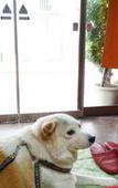 Туры в отель Yamamoto Ryokan Туры в отель Yamamoto Ryokan