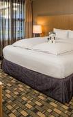 Туры в отель Staypineapple, Hotel Rose, Downtown Portland Туры в отель Staypineapple, Hotel Rose, Downtown Portland