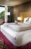 Туры в отель Staypineapple, Hotel Rose, Downtown Portland Туры в отель Staypineapple, Hotel Rose, Downtown Portland