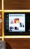 Туры в отель Staypineapple, Hotel Rose, Downtown Portland Туры в отель Staypineapple, Hotel Rose, Downtown Portland