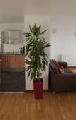 Туры в отель Native Manchester Туры в отель Native Manchester