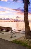 Туры в отель voco Sarasota by IHG Туры в отель voco Sarasota by IHG