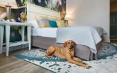 Туры в отель voco Sarasota by IHG Туры в отель voco Sarasota by IHG
