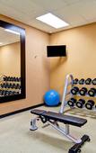 Туры в отель Hilton Garden Inn Ottawa Airport Туры в отель Hilton Garden Inn Ottawa Airport