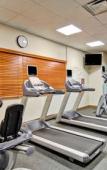 Туры в отель Hilton Garden Inn Ottawa Airport Туры в отель Hilton Garden Inn Ottawa Airport