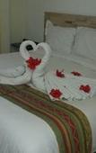 Туры в отель Seven Crown Express & Suites by Kavia Туры в отель Seven Crown Express & Suites by Kavia
