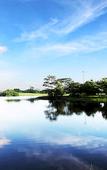 Туры в отель Castle Hotel Shenzhen Туры в отель Castle Hotel Shenzhen