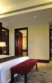 Туры в отель The COLI Hotel Shenzhen Туры в отель The COLI Hotel Shenzhen