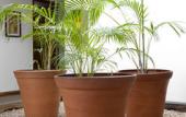 Туры в отель Hotel Eco Boutique Bidasoa Туры в отель Hotel Eco Boutique Bidasoa