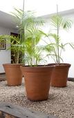 Туры в отель Hotel Eco Boutique Bidasoa Туры в отель Hotel Eco Boutique Bidasoa