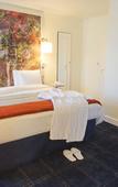 Туры в отель Mercure Lille Marcq en Baroeul Туры в отель Mercure Lille Marcq en Baroeul