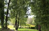Туры в отель Mouratoglou Hotel & Resort Туры в отель Mouratoglou Hotel & Resort