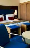 Туры в отель Radisson Blu Hotel Toulouse Airport Туры в отель Radisson Blu Hotel Toulouse Airport