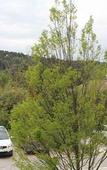 Туры в отель Residence Suite Home Aix en Provence Туры в отель Residence Suite Home Aix en Provence