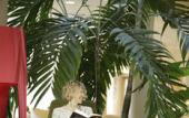 Туры в отель The Sydney Hotel Туры в отель The Sydney Hotel