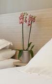 Туры в отель Comfort Aparthotel Les Hauts d'Annecy Туры в отель Comfort Aparthotel Les Hauts d'Annecy