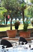 Туры в отель Hotel-Restaurant Les Oliviers Туры в отель Hotel-Restaurant Les Oliviers