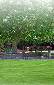 Туры в отель Hotel-Restaurant Les Oliviers Туры в отель Hotel-Restaurant Les Oliviers