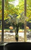 Туры в отель Hotel-Restaurant Les Oliviers Туры в отель Hotel-Restaurant Les Oliviers