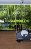 Туры в отель Hotel-Restaurant Les Oliviers Туры в отель Hotel-Restaurant Les Oliviers