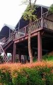 Туры в отель Khaosok Boutique Camps Туры в отель Khaosok Boutique Camps