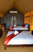 Туры в отель Khaosok Boutique Camps Туры в отель Khaosok Boutique Camps