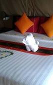 Туры в отель Khaosok Boutique Camps Туры в отель Khaosok Boutique Camps
