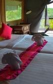 Туры в отель Khaosok Boutique Camps Туры в отель Khaosok Boutique Camps