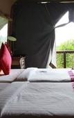 Туры в отель Khaosok Boutique Camps Туры в отель Khaosok Boutique Camps
