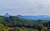 Туры в отель Khaosok Boutique Camps Туры в отель Khaosok Boutique Camps