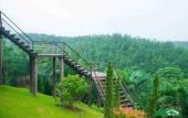 Туры в отель Khaosok Boutique Camps Туры в отель Khaosok Boutique Camps
