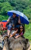 Туры в отель Khaosok Boutique Camps Туры в отель Khaosok Boutique Camps