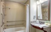 Туры в отель Holiday Inn Express & Suites Cut Off - Galliano by IHG Туры в отель Holiday Inn Express & Suites Cut Off - Galliano by IHG