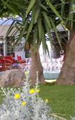 Туры в отель Amazones Villas Apartments Туры в отель Amazones Villas Apartments