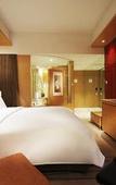 Туры в отель New World Wuhan Hotel Туры в отель New World Wuhan Hotel