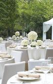 Туры в отель New World Wuhan Hotel Туры в отель New World Wuhan Hotel