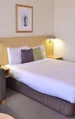 Туры в отель Distinction Palmerston North Hotel & Conference Centre Туры в отель Distinction Palmerston North Hotel & Conference Centre