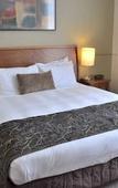 Туры в отель Distinction Palmerston North Hotel & Conference Centre Туры в отель Distinction Palmerston North Hotel & Conference Centre