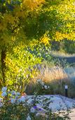 Туры в отель Entre Cielos Wine & Wellness Hotel Туры в отель Entre Cielos Wine & Wellness Hotel