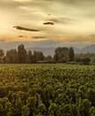 Туры в отель Entre Cielos Wine & Wellness Hotel Туры в отель Entre Cielos Wine & Wellness Hotel