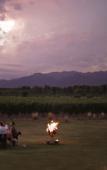 Туры в отель Entre Cielos Wine & Wellness Hotel Туры в отель Entre Cielos Wine & Wellness Hotel