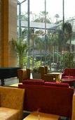 Туры в отель Wellton International Hotel Туры в отель Wellton International Hotel