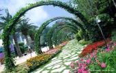 Туры в отель Noah’s Ark Hotel & Resort Туры в отель Noah’s Ark Hotel & Resort