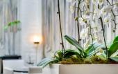 Туры в отель Hotel Le A Туры в отель Hotel Le A