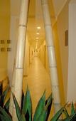 Туры в отель Hotel Baia del Sole Туры в отель Hotel Baia del Sole