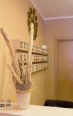 Туры в отель Hotel Baia del Sole Туры в отель Hotel Baia del Sole