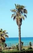 Туры в отель Hotel Baia del Sole Туры в отель Hotel Baia del Sole