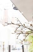 Туры в отель City Hotel Gouda - World Hotels Crafted Collections Туры в отель City Hotel Gouda - World Hotels Crafted Collections