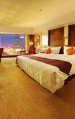 Туры в отель Swissotel Shenyang Туры в отель Swissotel Shenyang